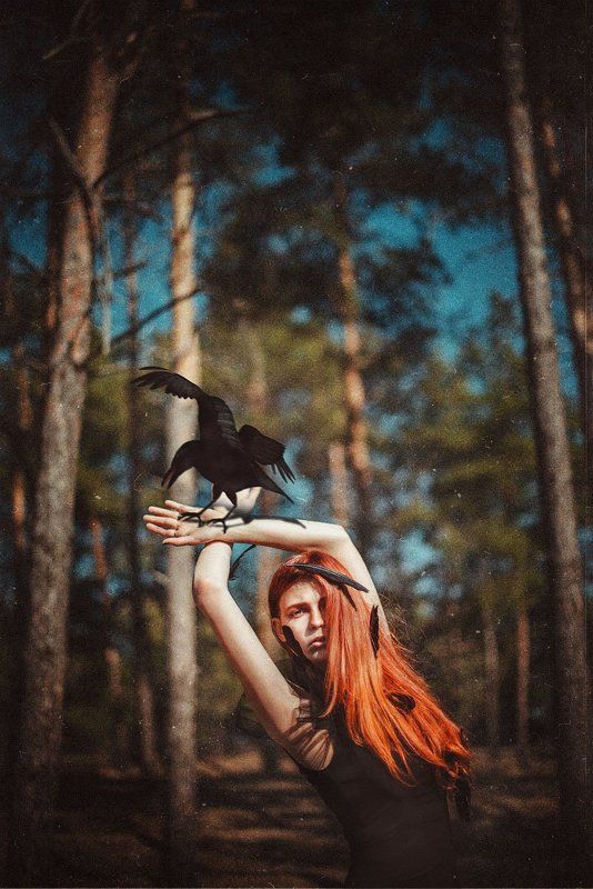 фото превью