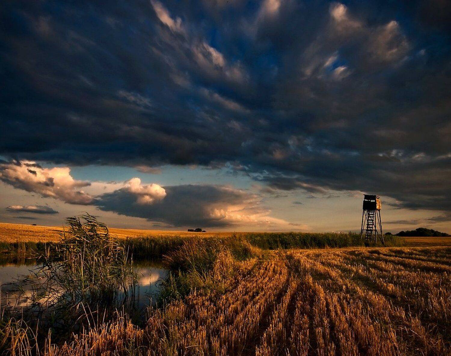 , Miroslaw Grobelski