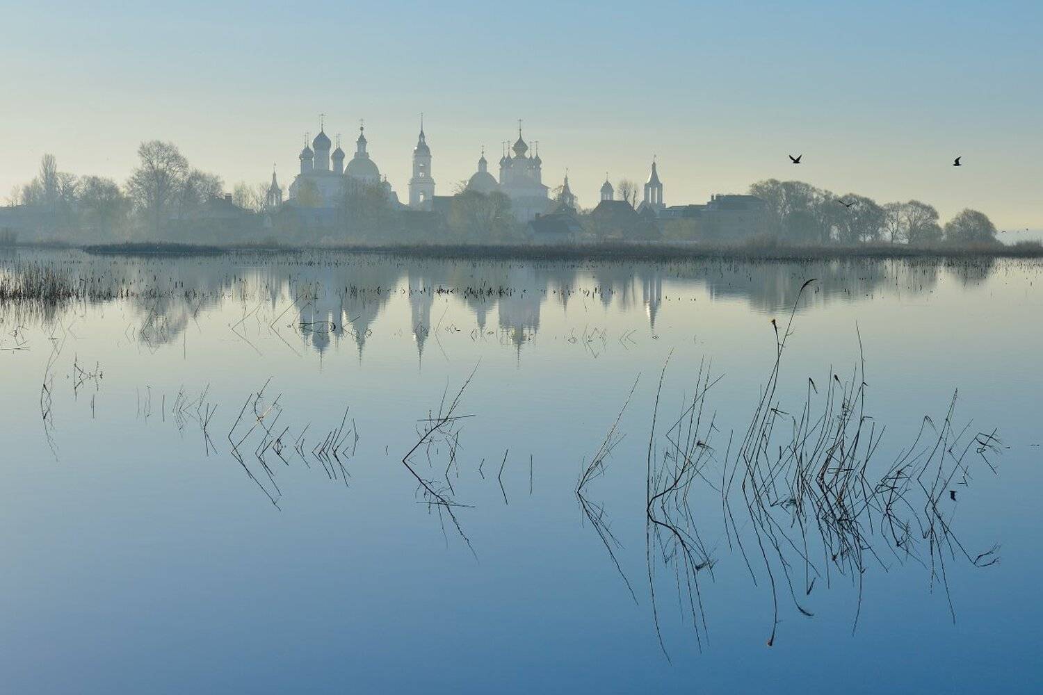 , Максим Евдокимов