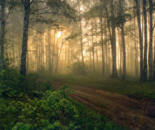 Далекий-близкий май