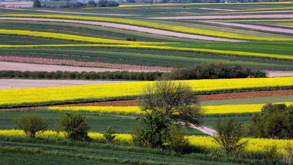 , Людмила Прокофьева