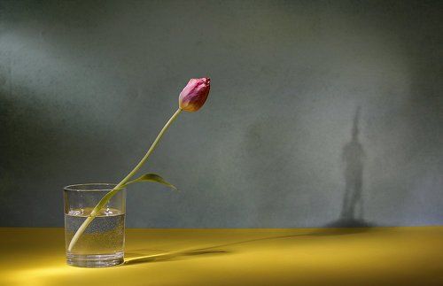 Про стойкого оловянного солдатика
