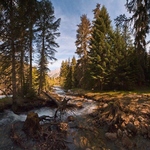 Весенний Гоначхир