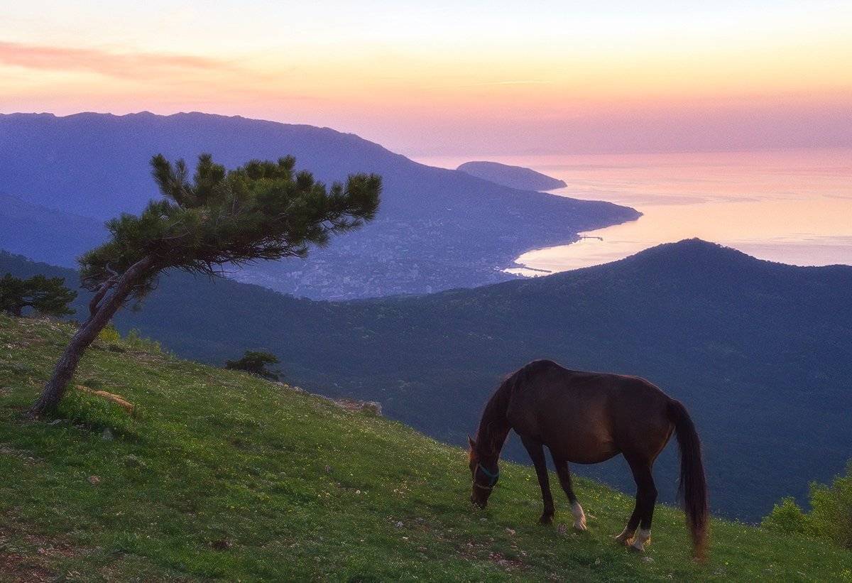 , Игорь Мелекесцев