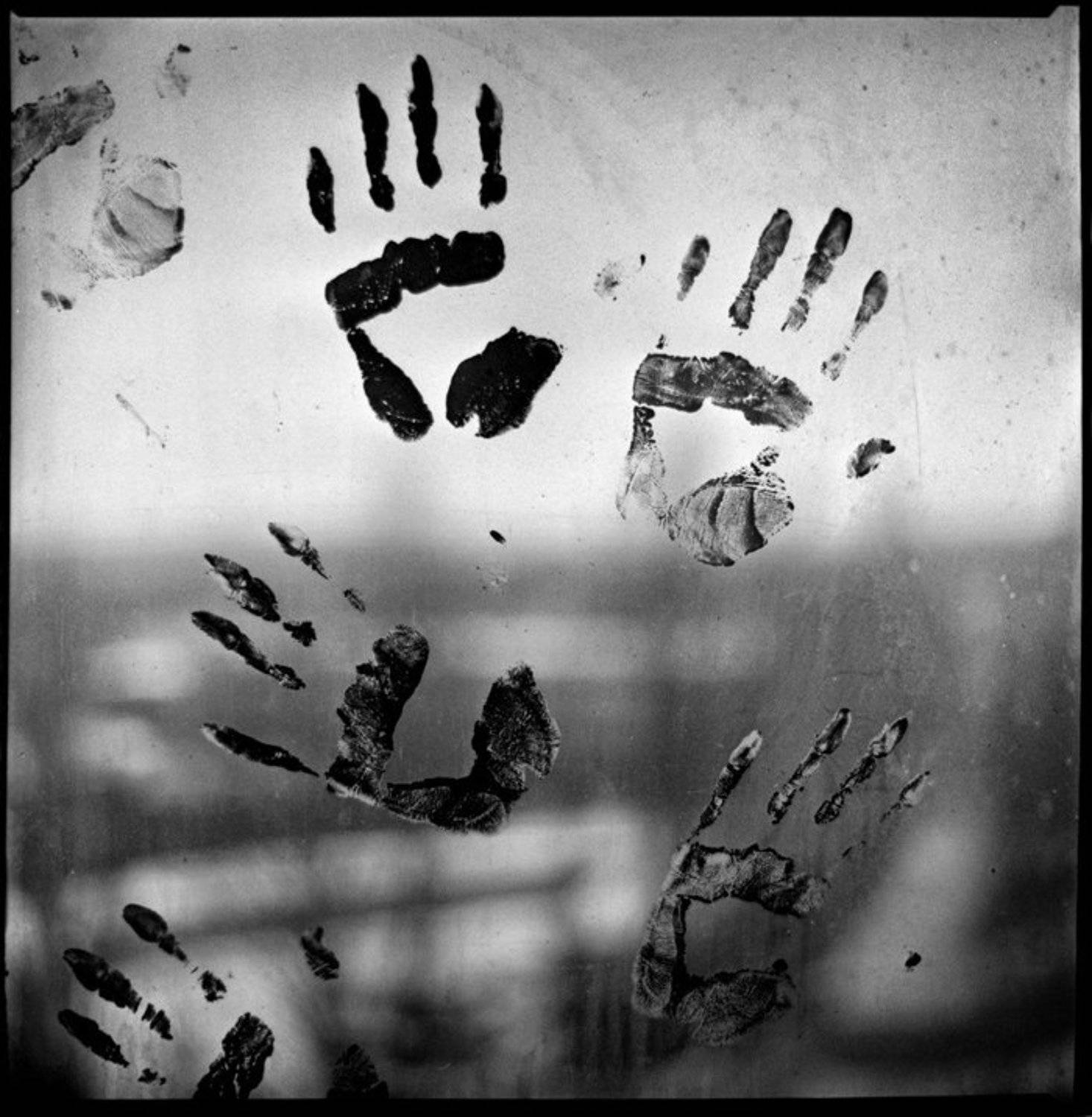 , Кирилл Шибут