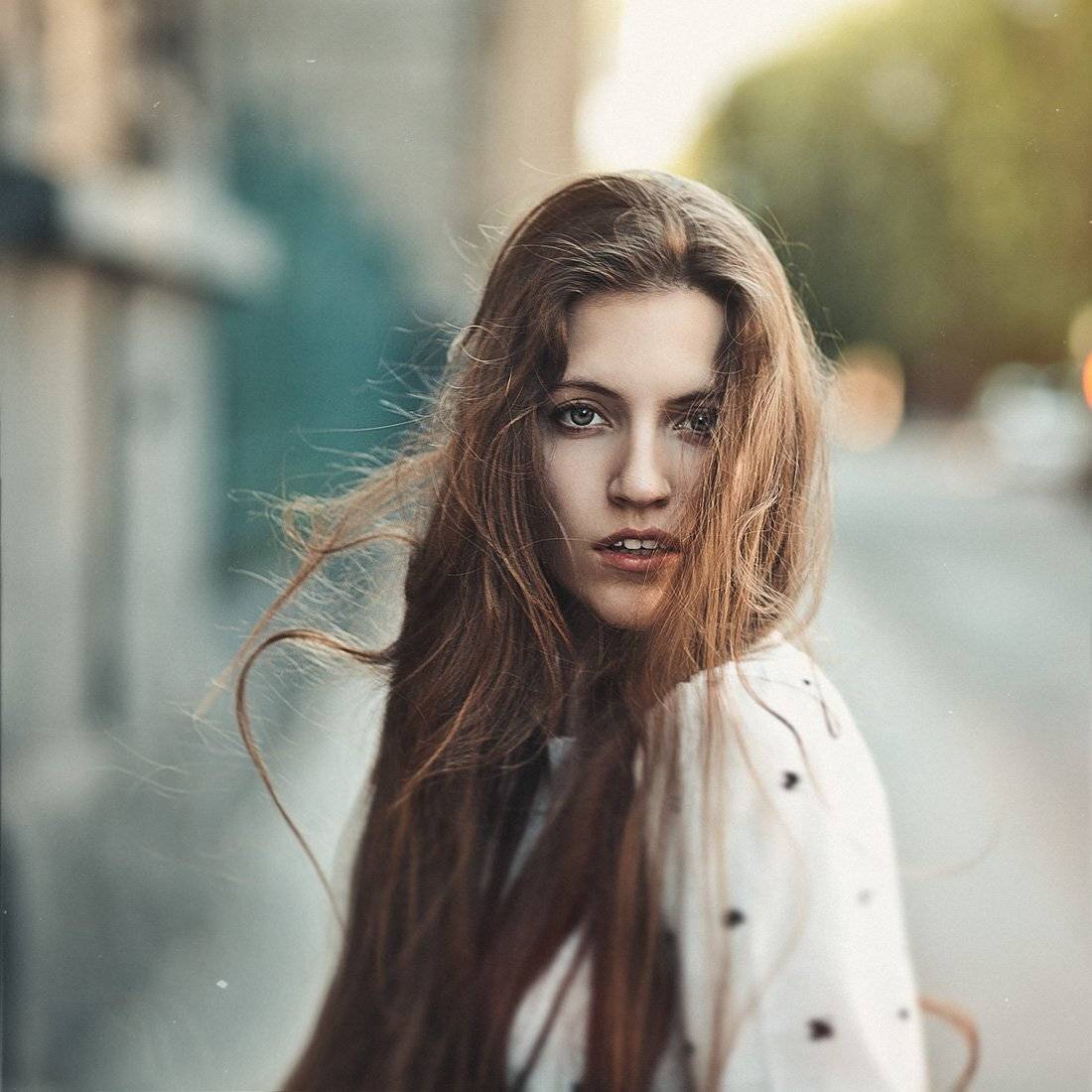 , Шептицкий Михаил