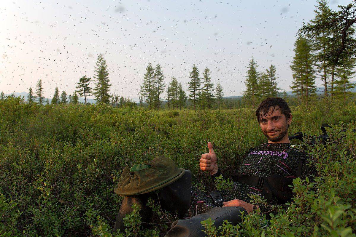 камчатка, комары, заповедник,, Денис Будьков