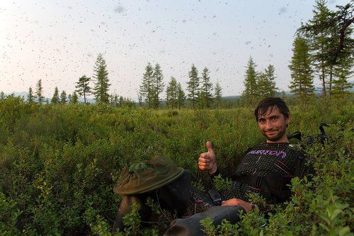 А за ним комарики…