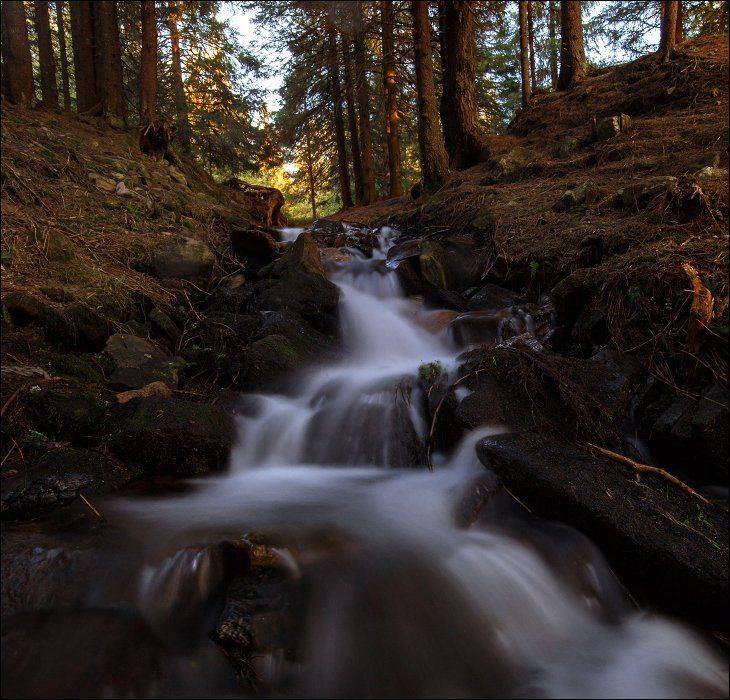 , Полищук И.В.