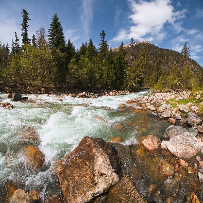 весна, домбай, гоначхир, Николай Мысливцев