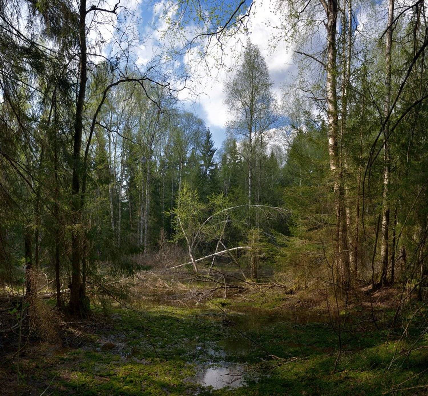 , Сергей Седов