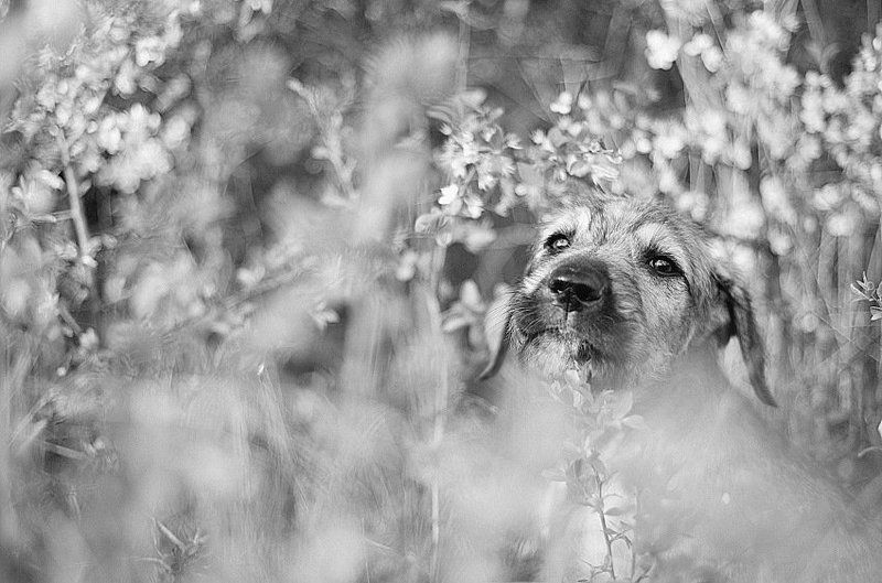 ... фото превью