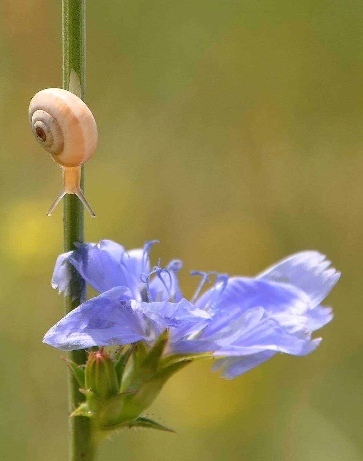 , Игорь Олейник