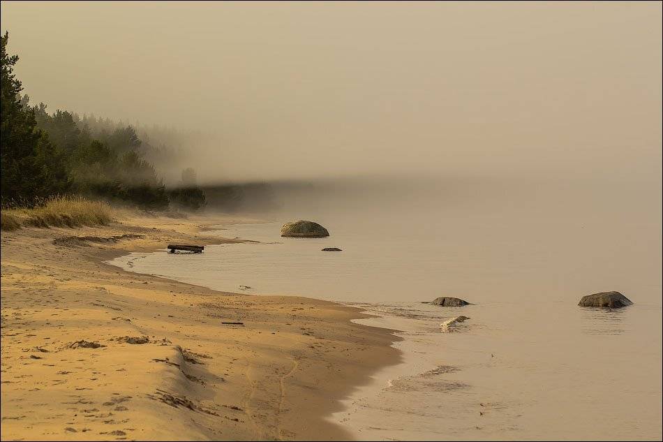 , Бурлов Андрей