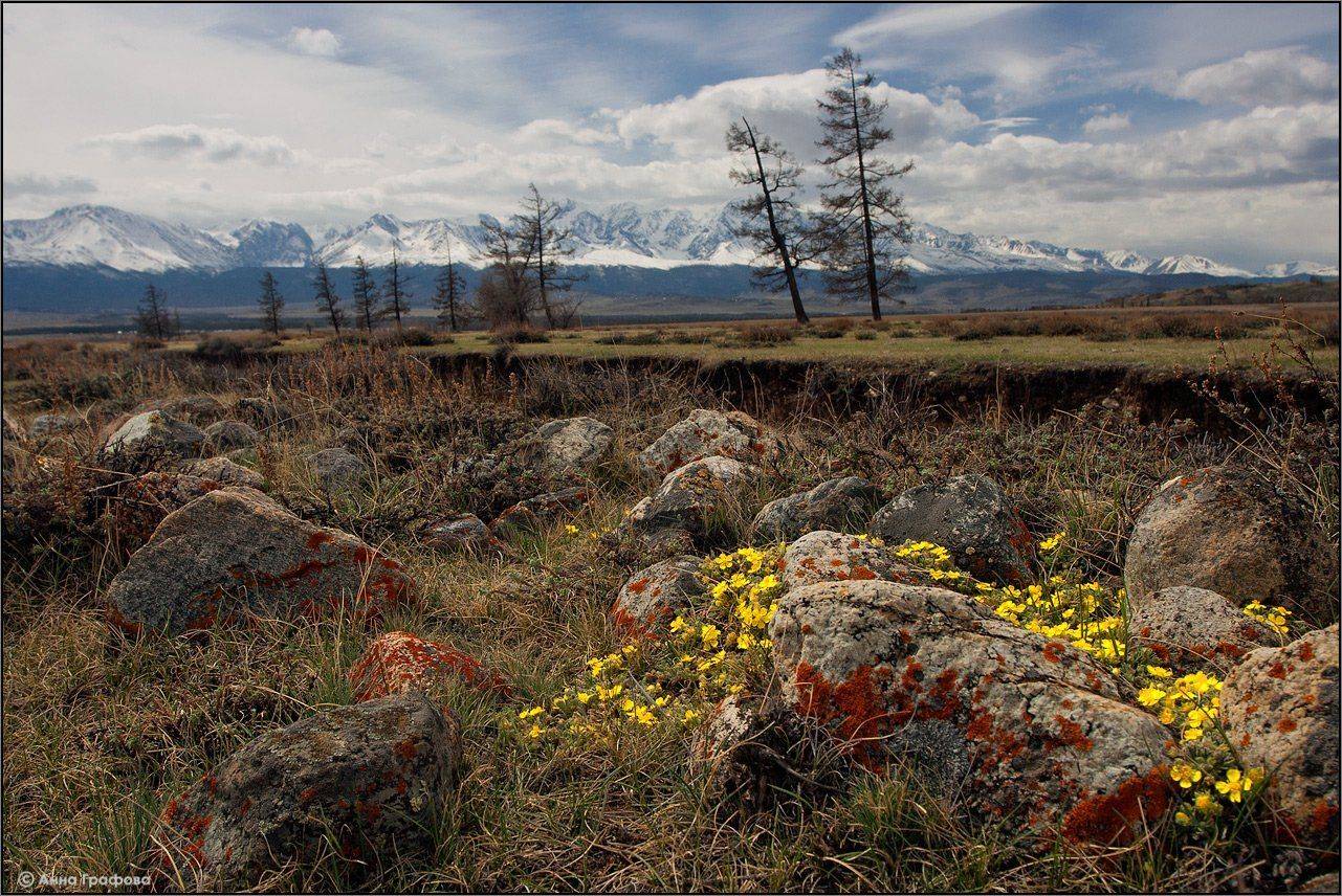 алтай, горы, горный алтай, курайская степь, северо0чуйский хребет, май, аня графова, Аня Графова