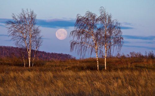 Утренний этюд с луной