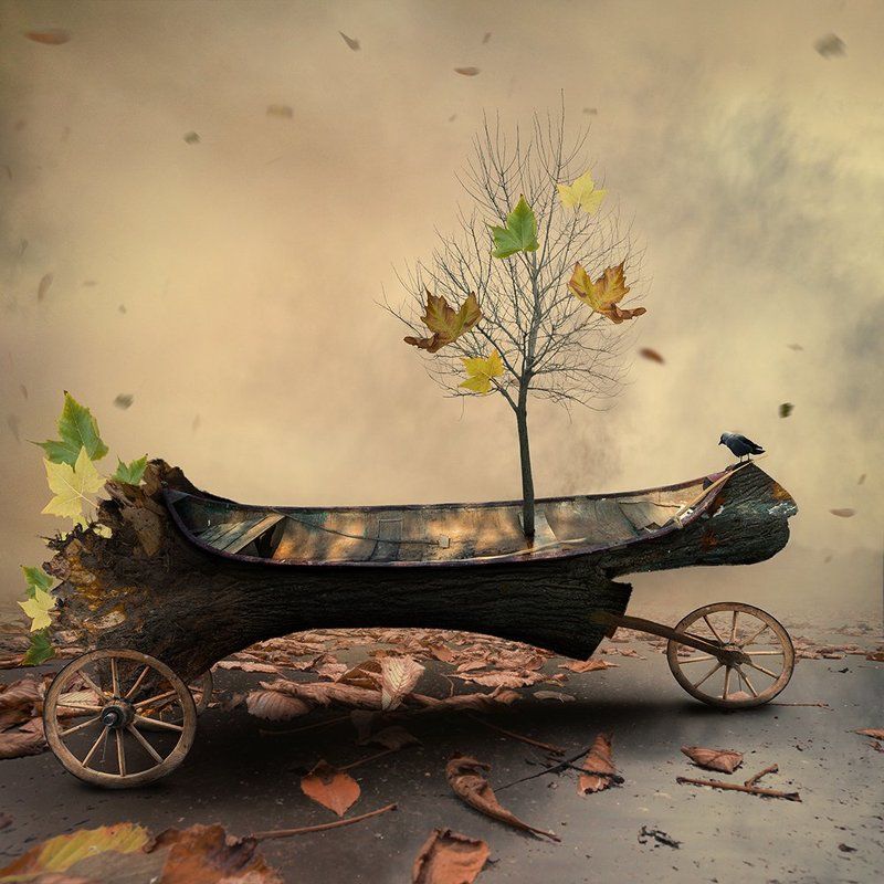 boat, leaf, clouds, bird, design, drums, floating, wheel, light, manipulation, pastel, photoshop, round, psd, read, shadow, smoke, tree, tutorials, water, wood The tree of life II фото превью