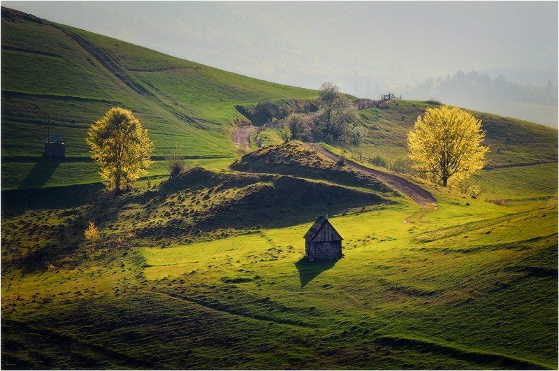 Карпатский этюд... фото превью