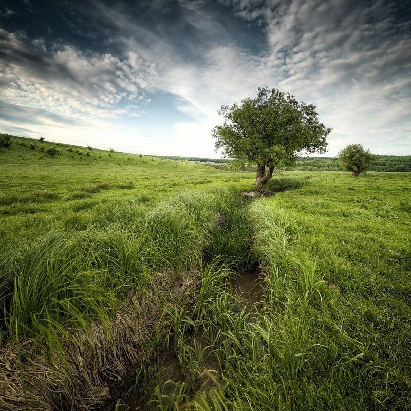 *** фото превью