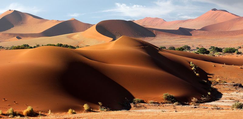 вызывающе-оранжевенькая серия без названия, с тучами, японской школьницей (для слепых!) и одним козлом (ик) фото превью