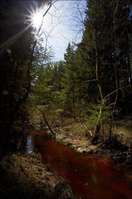 , Вадим Никифоров