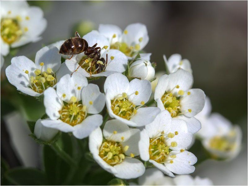 Как вкусно! фото превью