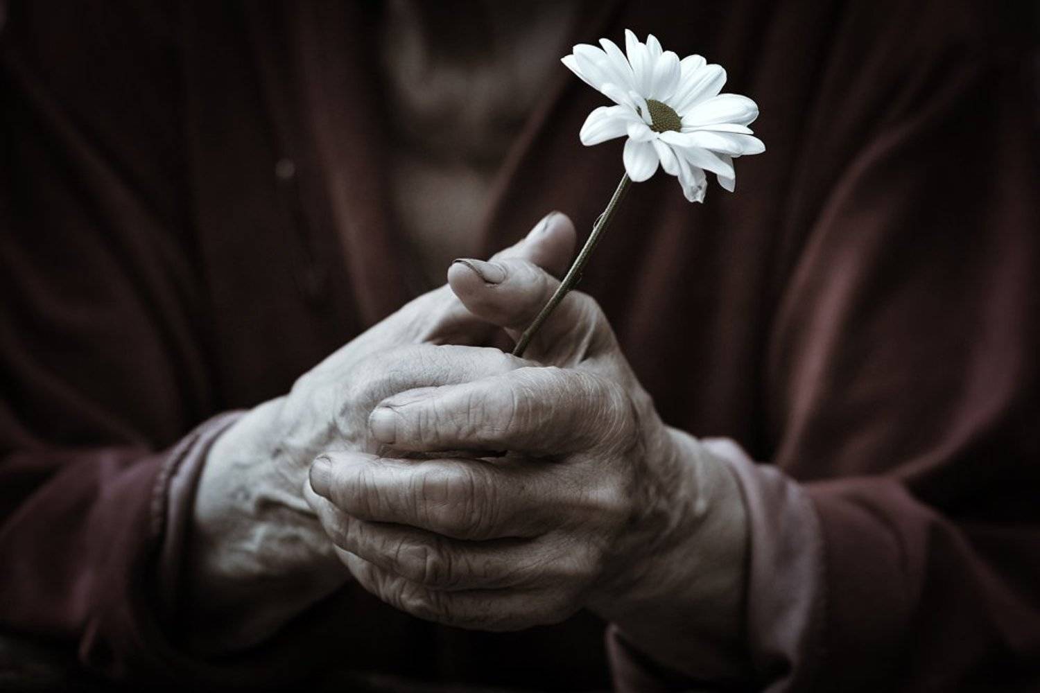 , Сотсков Николай