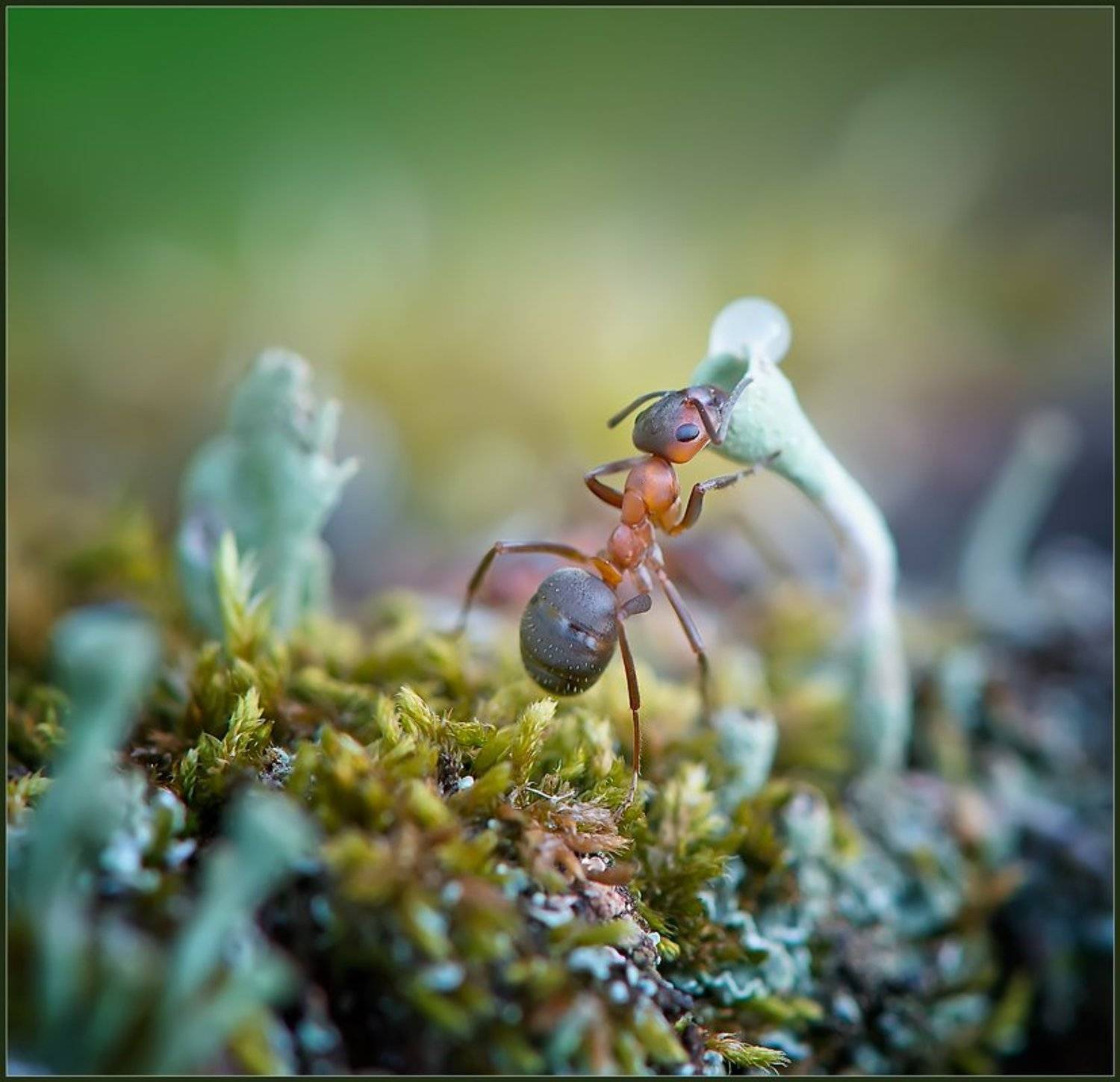 , Евгений Кирилкин.