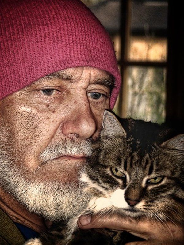 старик, кошка Старик и его кошка фото превью