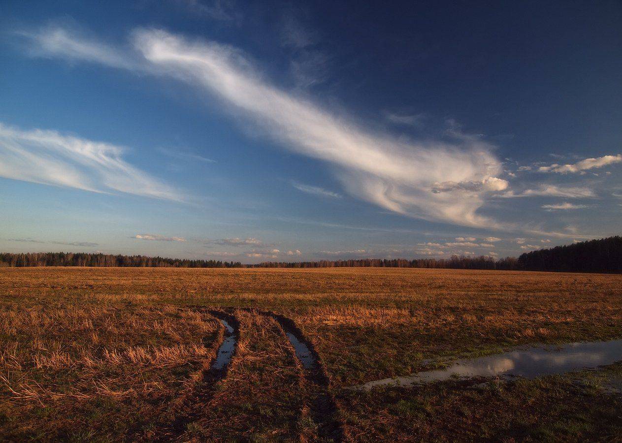 , Владимир Перепечаев