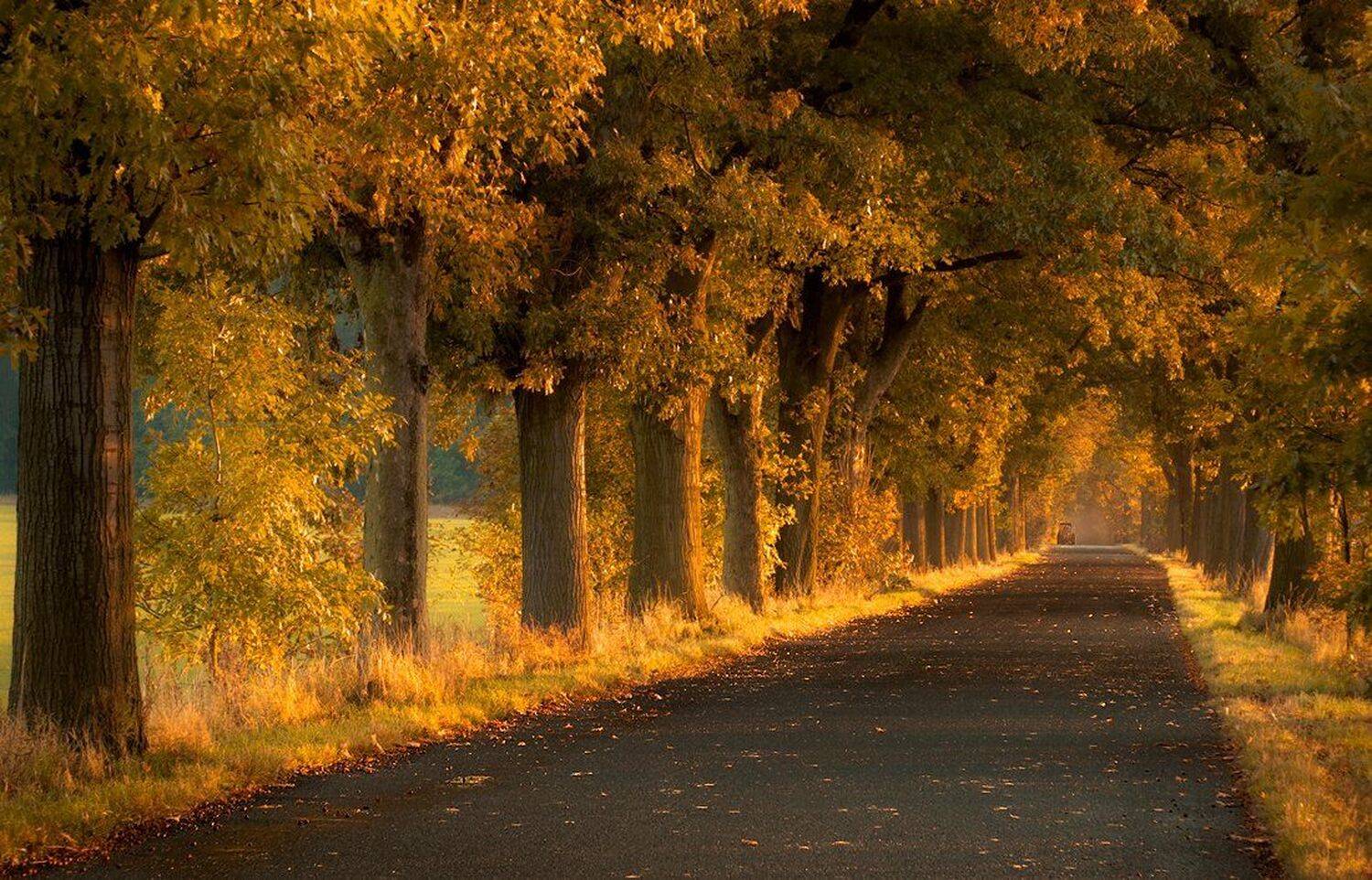 , Miroslaw Grobelski