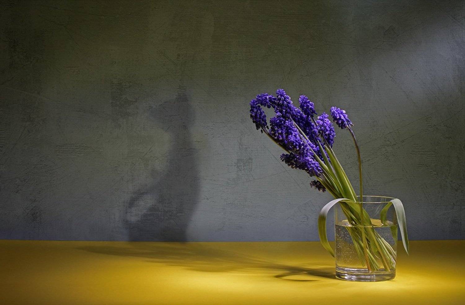 цветы, натюрморт, Svetlana Ра