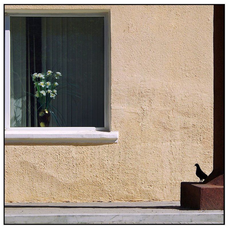 Уличный натюрморт фото превью