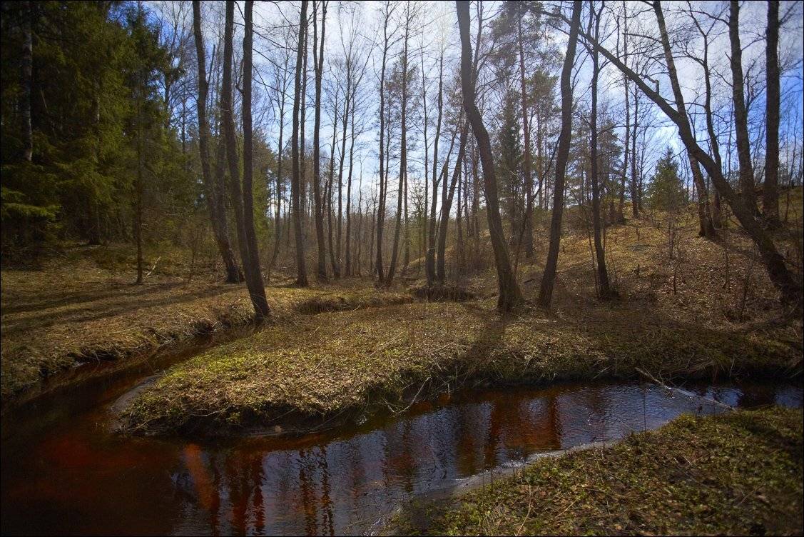 , Вадим Никифоров