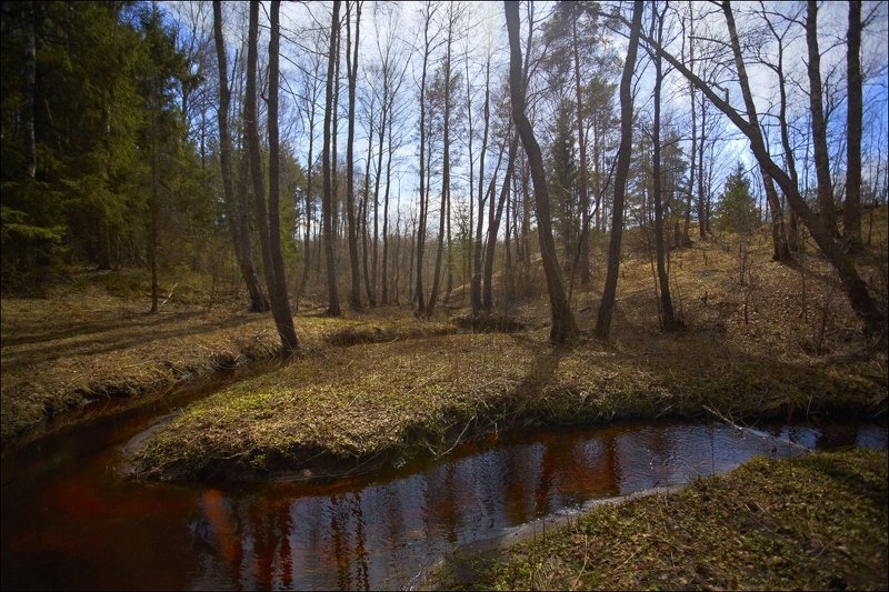 Вдоль весеннего ручья. фото превью