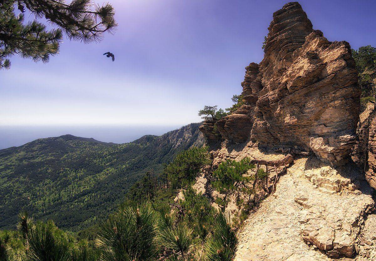 , Игорь Мелекесцев