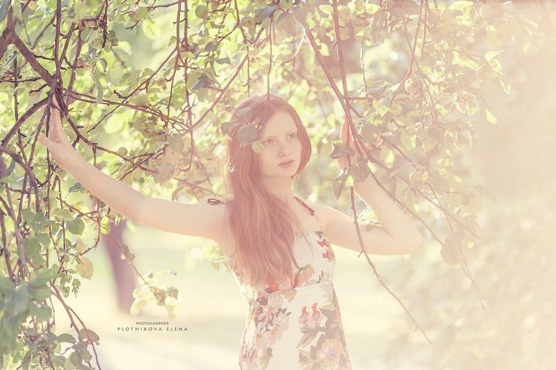 фото превью