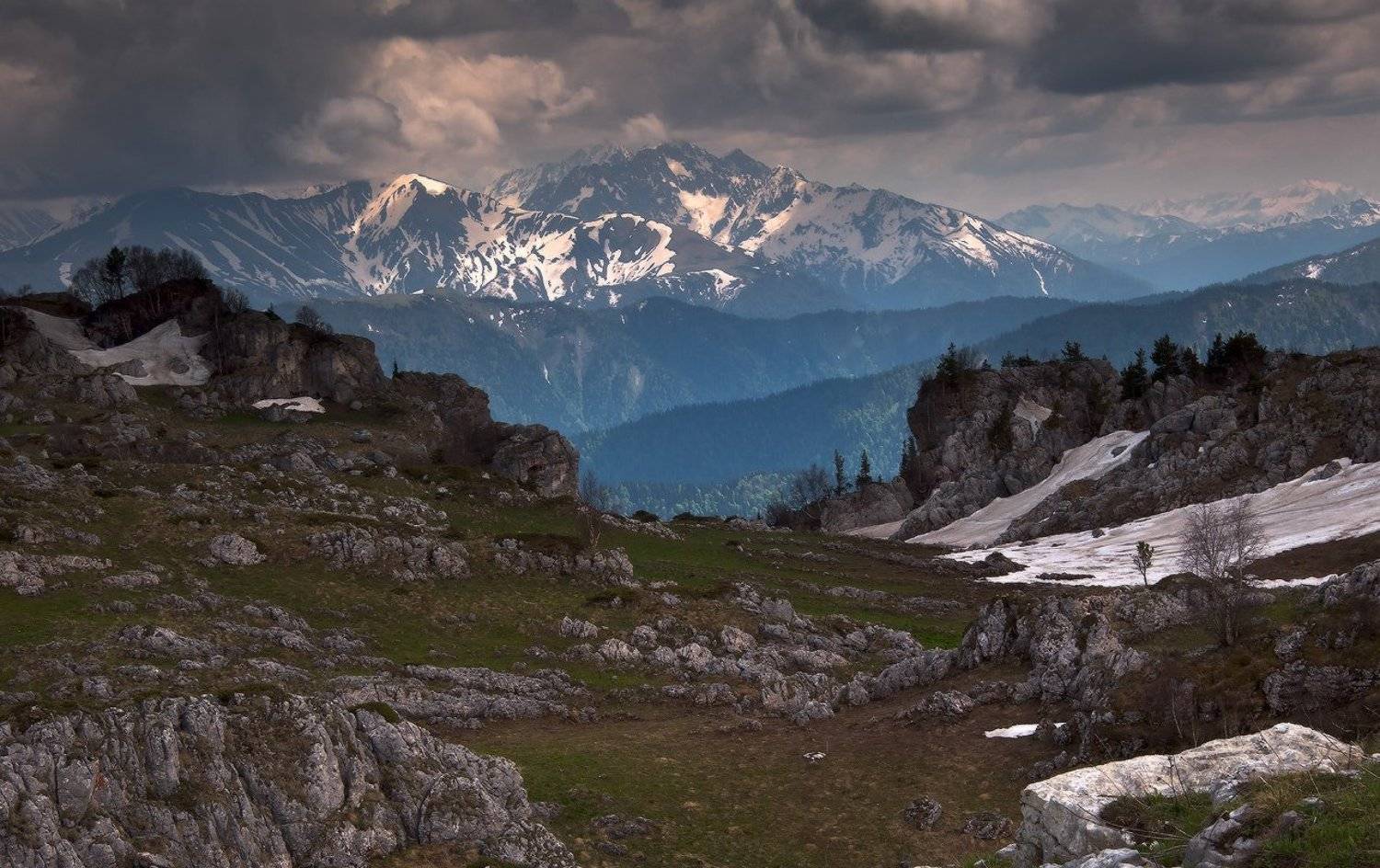 , Ирина Заграничная