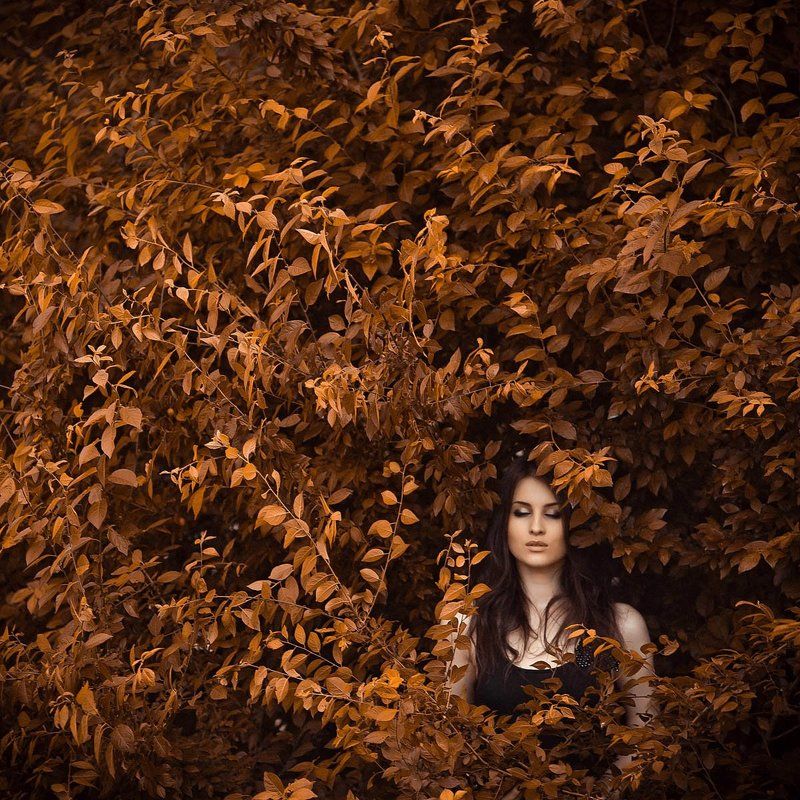 Al фото превью