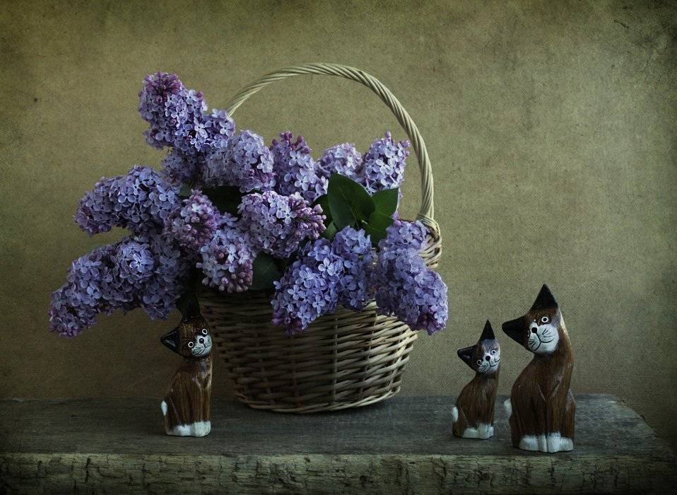 , Петрова Татьяна