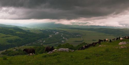Из жизни пастуха. Непогодная