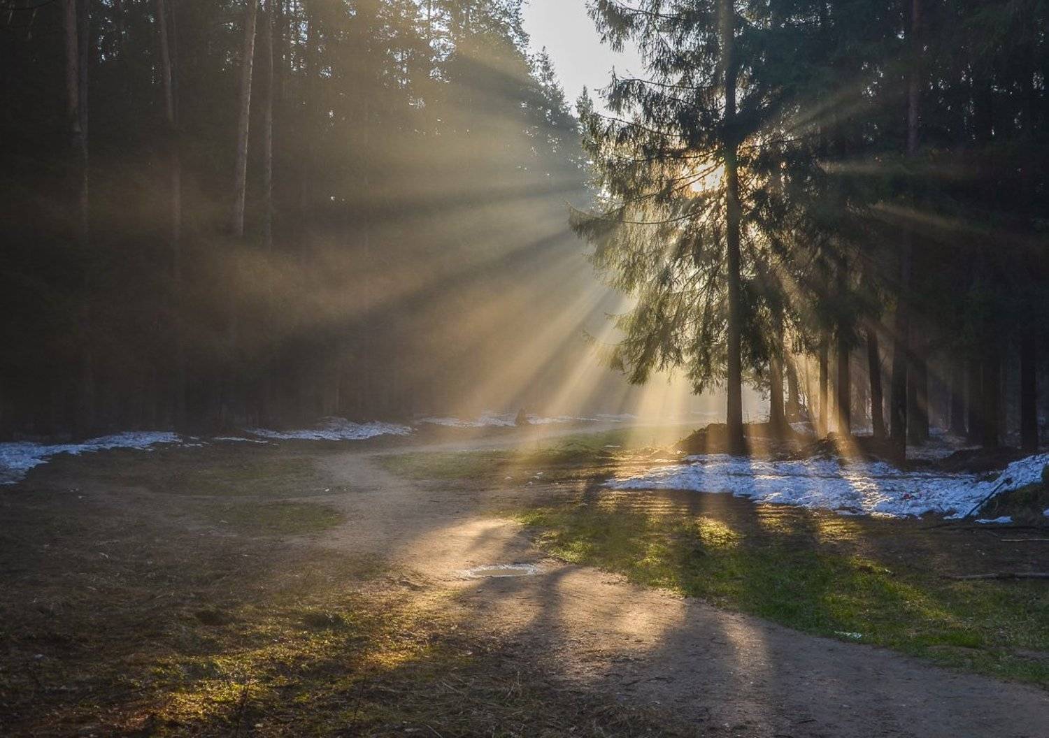 , Света и Вася