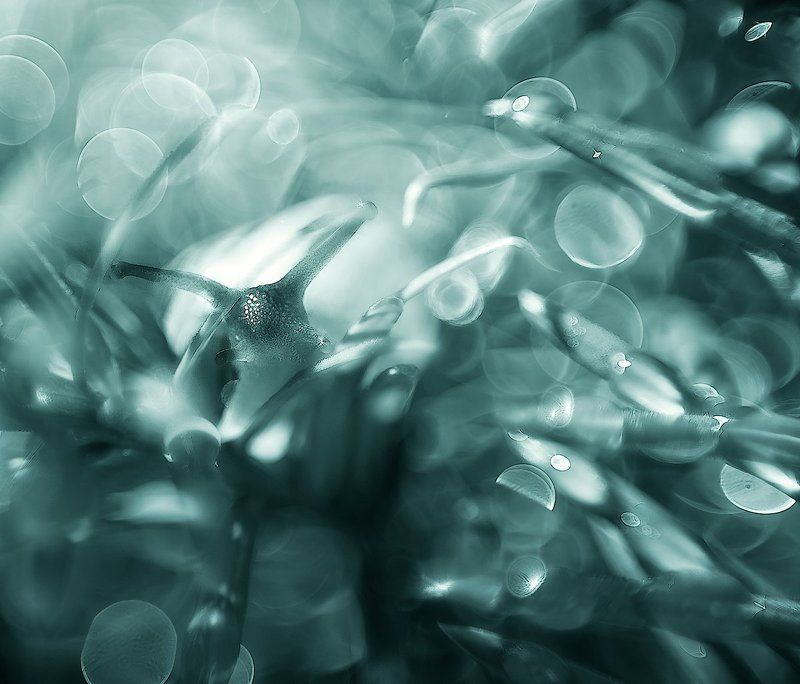 Small World. фото превью