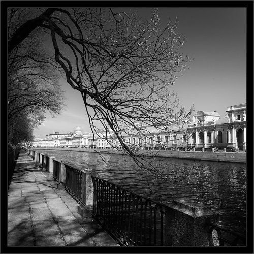 Черно-белая питерская зарисовка с видом набережной Фонтанки из Летнего сада