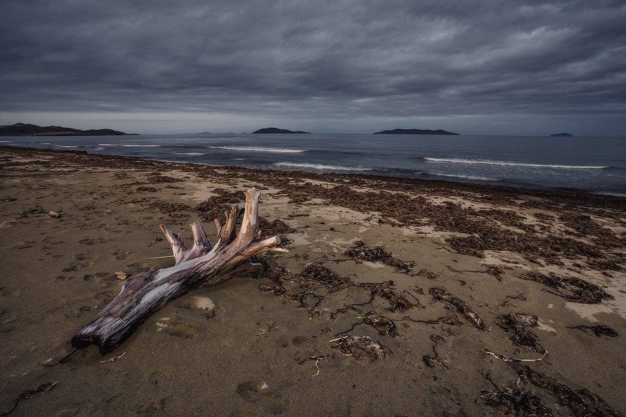 , Андрей Кровлин