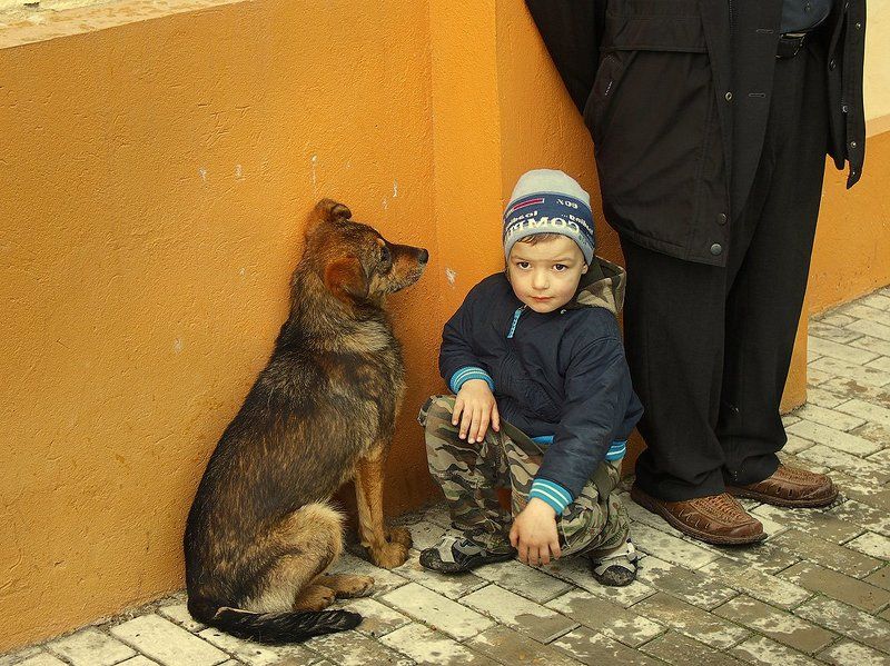 ** фото превью