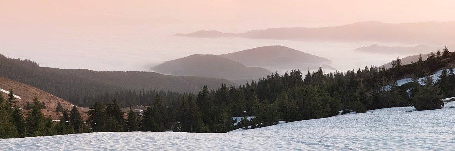 , Александр Ящук