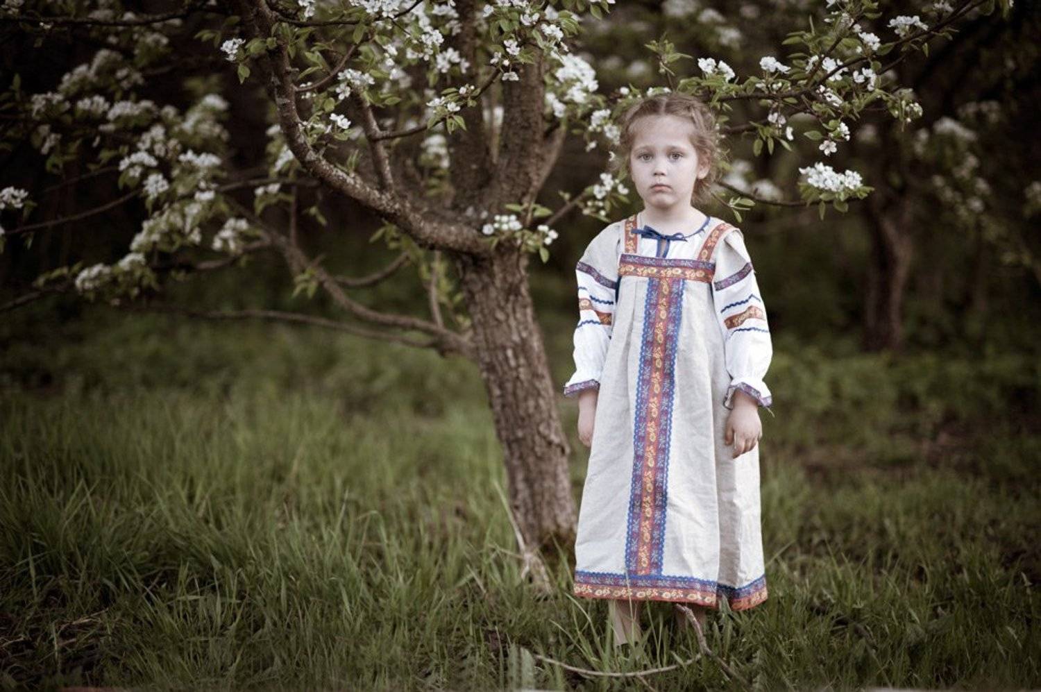 , Сотсков Николай