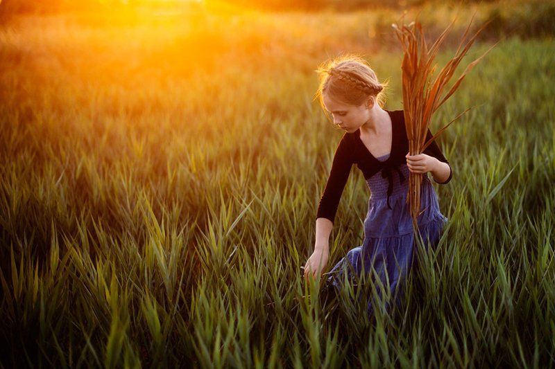 Harvester фото превью