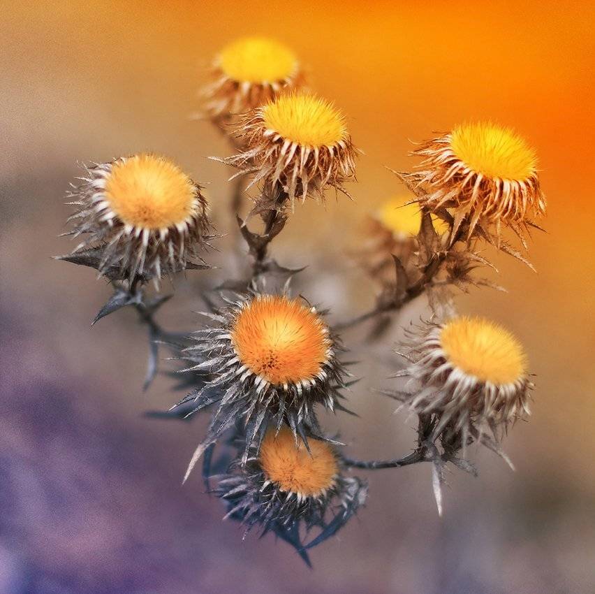 , Михаил  Пилипенко